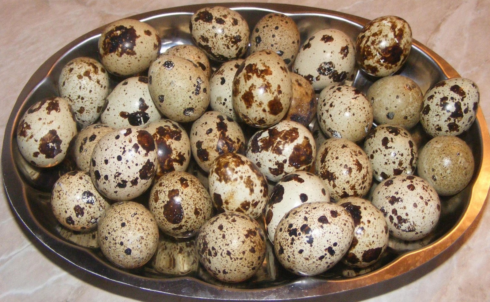 Блины на перепелиных яйцах. Prepelita. Яйцо перепелиное. Шоколадные перепелиные яйца. Посуда перепелиное яйцо.