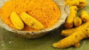 Sofranul-indian (Curcuma longa), planta ce ofera beneficii pentru piele si distruge celulele canceroase