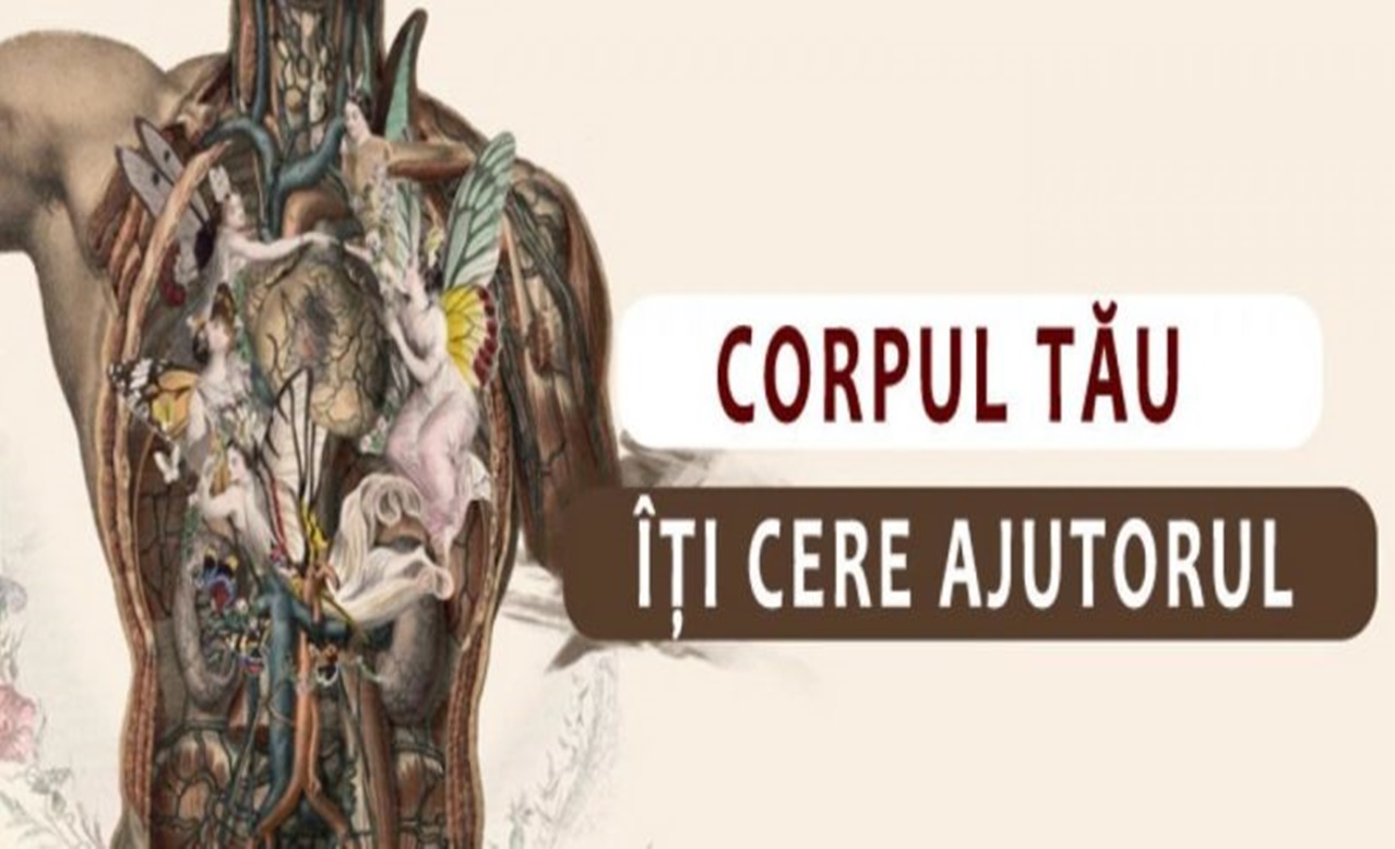 10 Semne prin care corpul iti transmite ca are nevoie de ajutor – Grija mare la numarul 5!