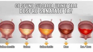 Culoarea urinei poate spune numeroase lucruri despre sănătatea noastră