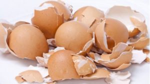 Motive pentru care nu ar trebui să arunci cojile de ou, mai ales daca ai probleme cu tiroida, colesterolul sau ulcerul