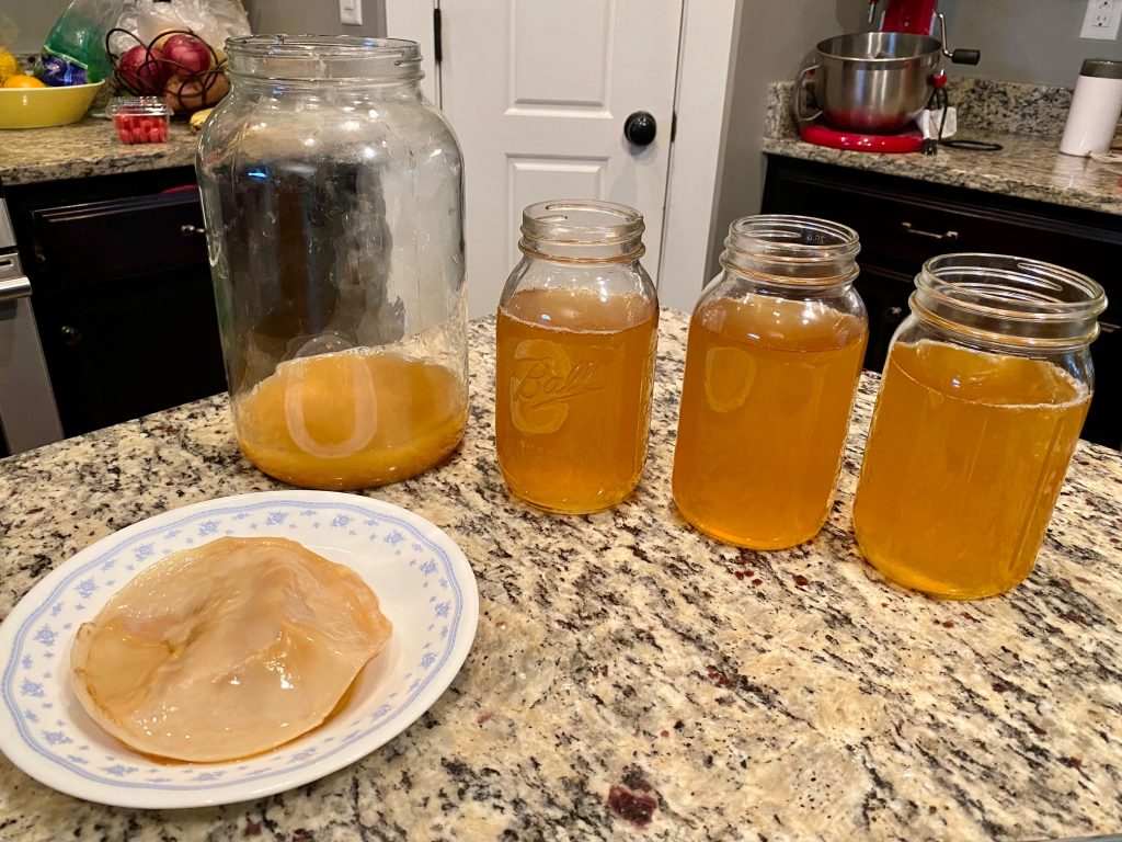 Kombucha – Ceaiul nemuririi (Rețeta)