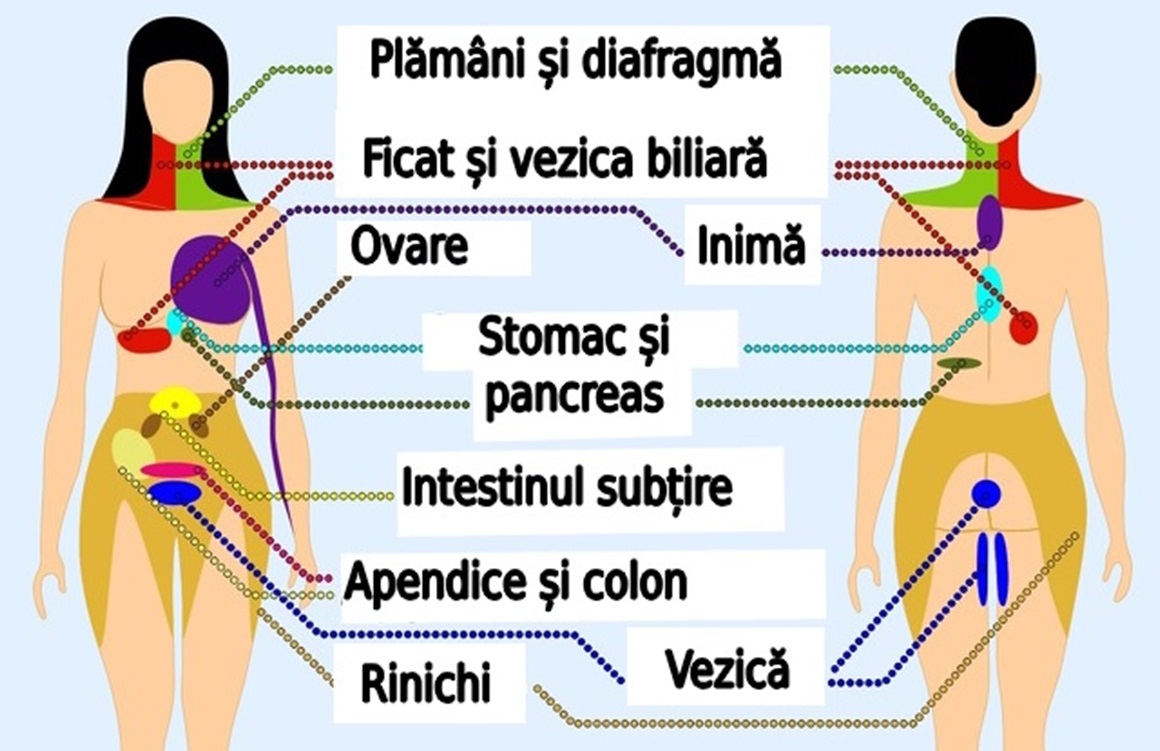 8 dureri pe care nu trebuie să le ignori
