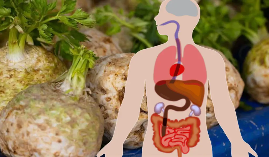 Care sunt alimentele care ajută la detoxifierea organismului în această perioadă? Curata complet corpulde toxine