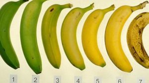 Știi care dintre aceste 7 banane este cea mai bună pentru tine și sănătatea ta?