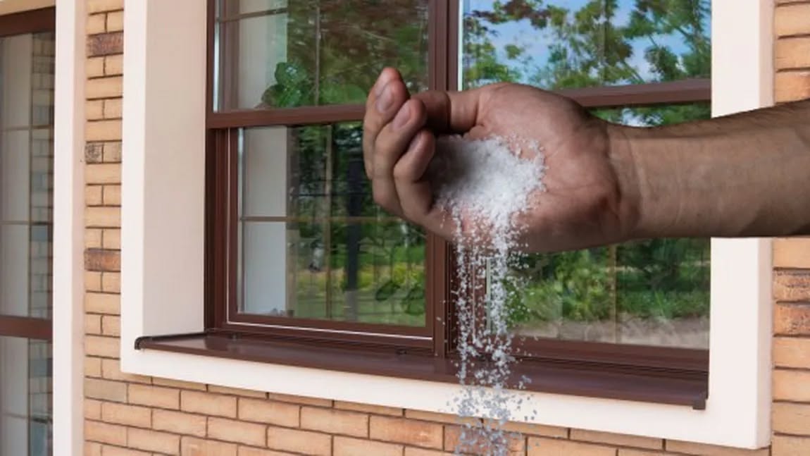 Celebra clarvăzătoare BABA VANGA: „Pune sare la toate pervazurile și în cel mai scurt timp …”