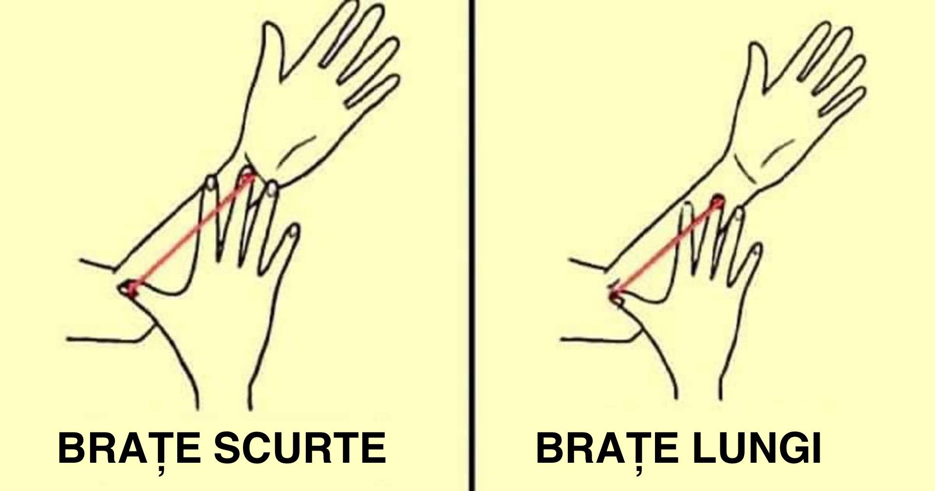 TEST: Ce spune dimensiunea brațului tău despre personalitatea ta?