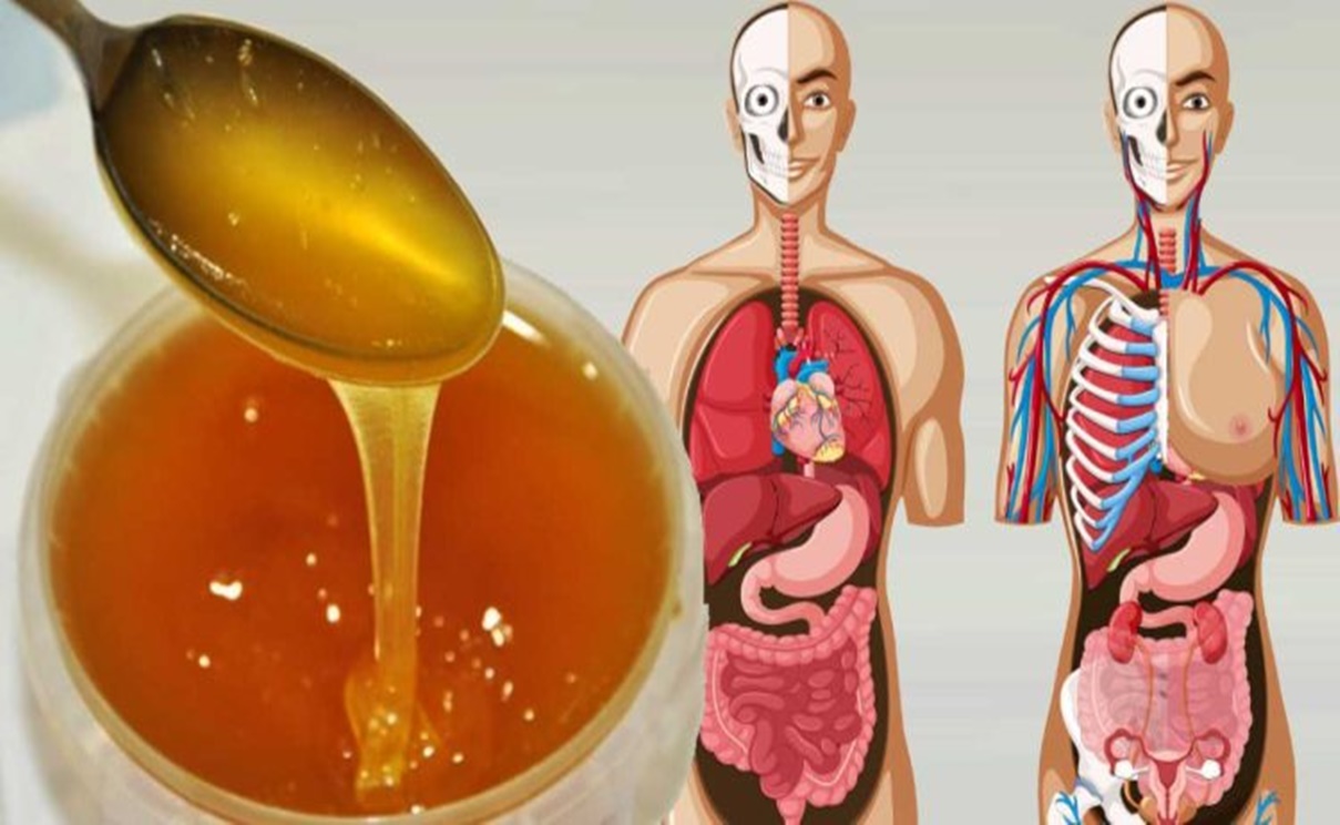 Mierea de albine – Un elixir cu BENEFICII uimitoare asupra organismului. Te scapa de gastrita, constipatie, reduce riscul bolilor coronariene, vei preveni gripa, durerile in gat si raceala