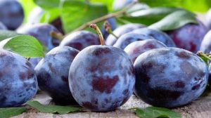 Un studiu german arata ca prunele pot combate o afectinue care poate ucide milioane de oameni