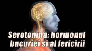 Cum să completați lipsa de serotonină: hormonul bucuriei și al fericirii