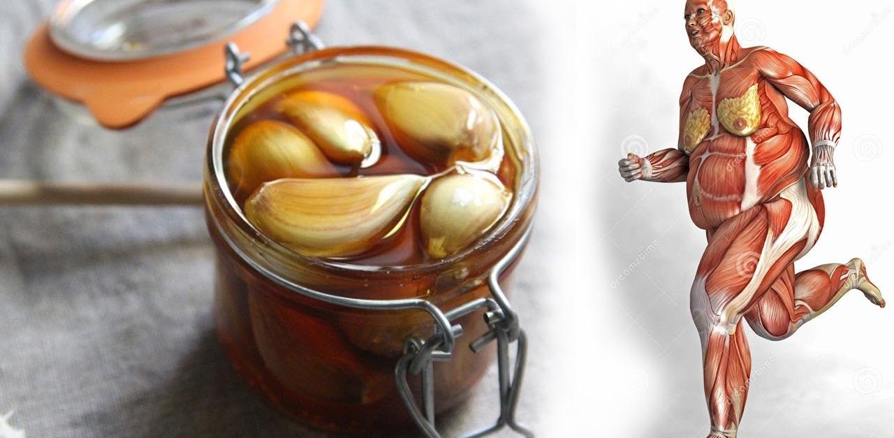 A mâncat usturoi cu miere pe stomacul gol, timp de 7 zile. Efectele au fost peste așteptări! ”Penicilina Rusească”