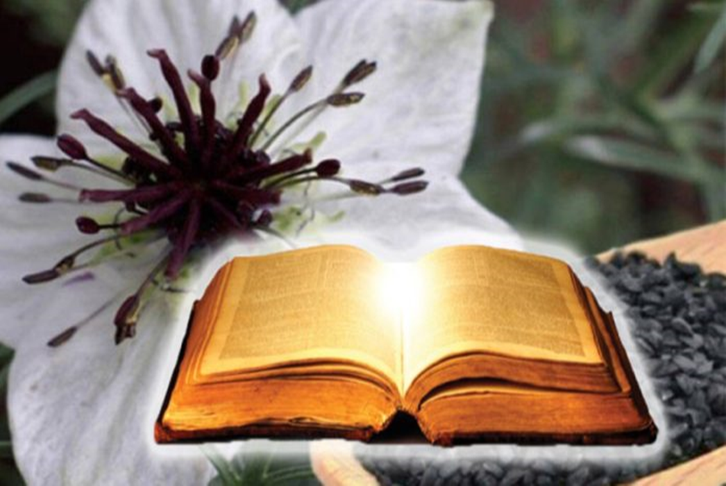 Planta mentionata in Biblie si in Coran despre care se spune ca vindeca orice boala. „Vindecarea pentru orice boala cu exceptia mortii”