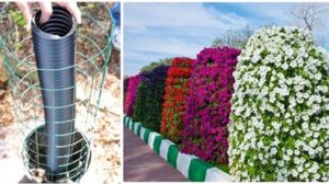 Secretul minunatului stâlp cu flori: cum să construiți singuri o grădină verticală!