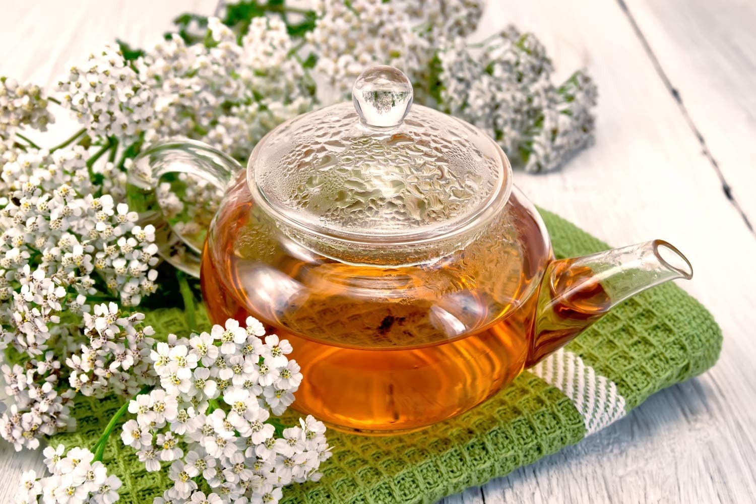 Cum sa folosiți ceaiul din coada soricelului si ce afectiuni trateaza… ginecologice, hepatice, ulcer, migrene, hemoroizi…