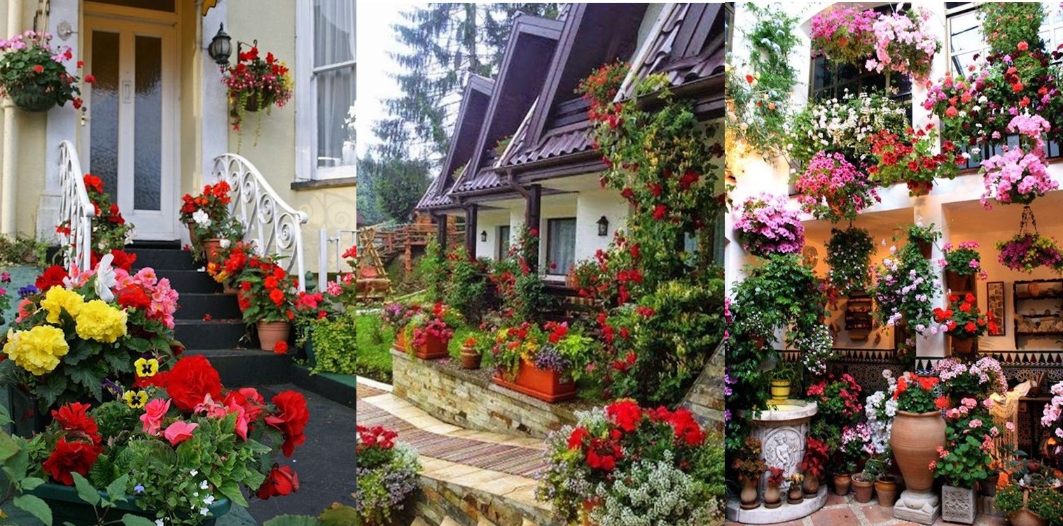 Idei fascinante de aranjare a florilor pentru a crea un mic paradis in fata casei tale